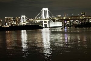 Tokyo: privat kveldstur med henting på hotellet