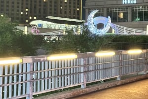 Tokyo: privat kveldstur med henting på hotellet