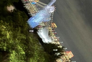 Tokyo: privat kveldstur med henting på hotellet