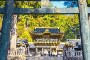 Tokio: Nikko privé dagtour naar werelderfgoed, volledig op maat gemaakt