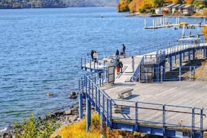 Tokio: Nikko privé dagtour naar werelderfgoed, volledig op maat gemaakt