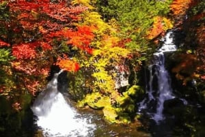 Tokio: Nikko privé dagtour naar werelderfgoed, volledig op maat gemaakt