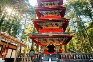 Tokio: Nikko privé dagtour naar werelderfgoed, volledig op maat gemaakt