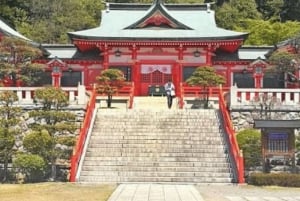 Tokio: Nikko privé dagtour naar werelderfgoed, volledig op maat gemaakt