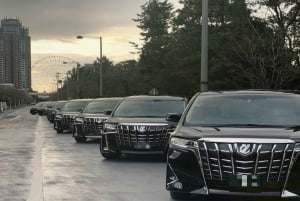 Tokio: Privé-transfers van/naar Hakone of Mt. Fuji