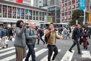 Токио: индивидуальный шопинг-тур с трансфером из отеля