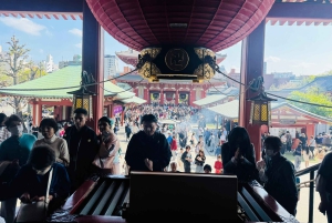 Tokyo : visite touristique privée avec chauffeur anglophone