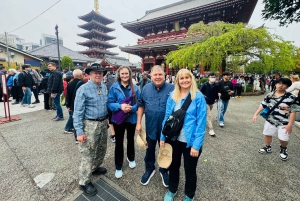 Tokyo : visite touristique privée avec chauffeur anglophone