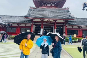 Tokyo : visite touristique privée avec chauffeur anglophone