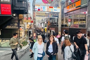Tokyo : visite touristique privée avec chauffeur anglophone