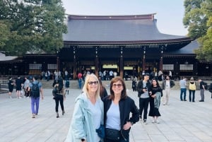 Tokyo : visite touristique privée avec chauffeur anglophone