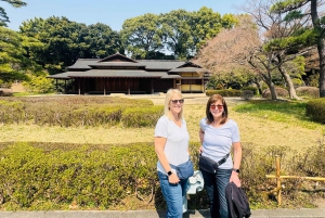 Tokyo : visite touristique privée avec chauffeur anglophone
