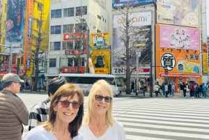 Tokyo : visite touristique privée avec chauffeur anglophone