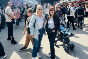Tokyo : visite touristique privée avec chauffeur anglophone