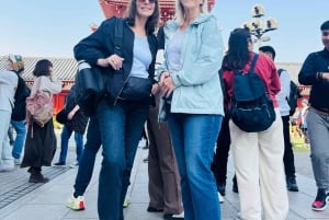 Tokyo : visite touristique privée avec chauffeur anglophone