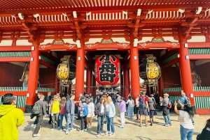 Tokyo : visite touristique privée avec chauffeur anglophone
