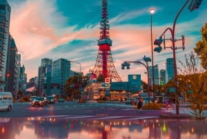 Tóquio: Tour particular sob medida com um guia local