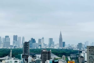 Tóquio: Tour particular sob medida com um guia local