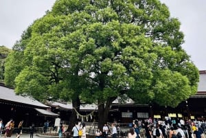 Tóquio: Tour particular sob medida com um guia local