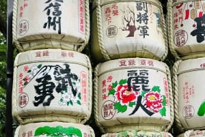 Tóquio: Tour particular sob medida com um guia local