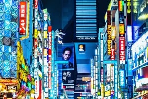 Tokio: Privétour op maat met een lokale gids