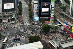 Tokio: Privétour op maat met een lokale gids