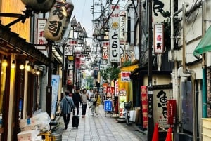 Tokio: Privétour op maat met een lokale gids