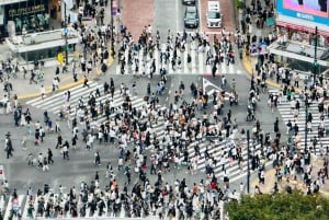 Tokio: Privétour op maat met een lokale gids