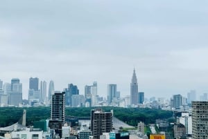 Tokio: Privétour op maat met een lokale gids