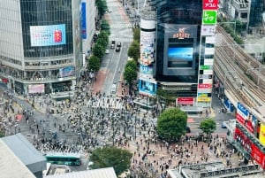 Tokio: Privétour op maat met een lokale gids