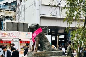 Tokio: Privétour op maat met een lokale gids