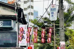 Tokio: Privétour op maat met een lokale gids