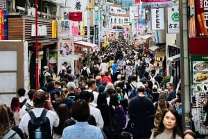 Tokio: Privétour op maat met een lokale gids