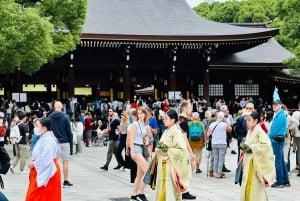 Tokio: Privétour op maat met een lokale gids