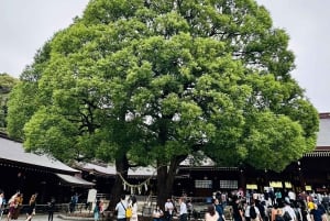 Tokio: Privétour op maat met een lokale gids