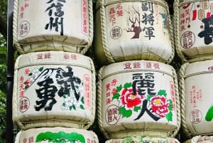 Tokio: Privétour op maat met een lokale gids