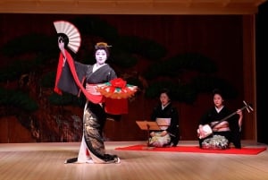 Tokyo: Privat tur og tradisjonell forestilling med middag