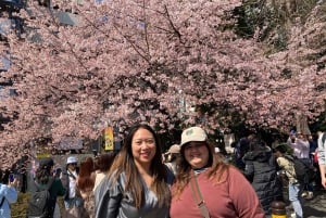 Tokyo: Privat tur og tradisjonell forestilling med middag
