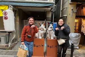 Tokyo: Privat tur og tradisjonell forestilling med middag