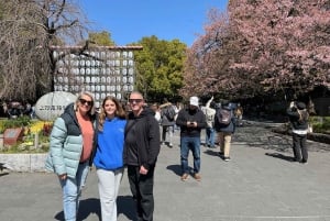 Tokyo: Privat tur og tradisjonell forestilling med middag