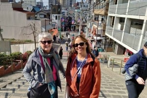 Tokyo: Privat tur og tradisjonell forestilling med middag