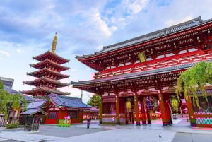 Tokyo: Privat tur og tradisjonell forestilling med middag