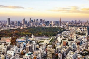 Tokyo: Privat tur og tradisjonell forestilling med middag