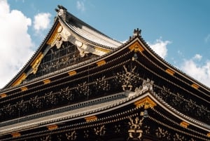 Privétour door Tokio: Tsukiji-sushi, gastronomische wandeling en bezienswaardigheden in Ginza