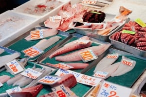 Privétour door Tokio: Tsukiji-sushi, gastronomische wandeling en bezienswaardigheden in Ginza