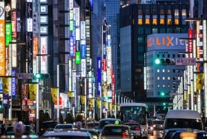 Privétour door Tokio: Tsukiji-sushi, gastronomische wandeling en bezienswaardigheden in Ginza