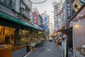 Privétour door Tokio: Tsukiji-sushi, gastronomische wandeling en bezienswaardigheden in Ginza
