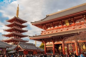 Tokyo Private Tour: Best Places with a Local