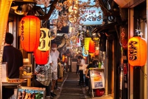 Tokyo Private Tour: Best Places with a Local