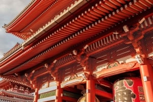 Tokyo Private Tour: Best Places with a Local